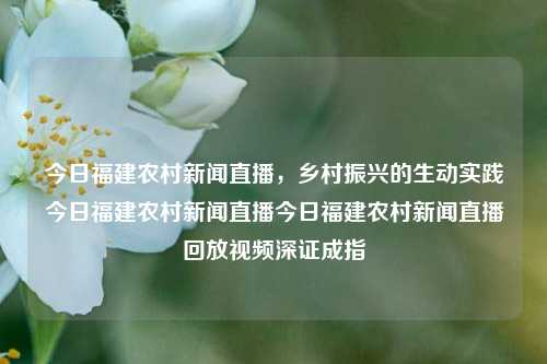 今日福建农村新闻直播，乡村振兴的生动实践今日福建农村新闻直播今日福建农村新闻直播回放视频深证成指-第1张图片-福建新闻网