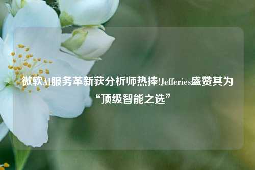 微软AI服务革新获分析师热捧!Jefferies盛赞其为“顶级智能之选”-第1张图片-福建新闻网