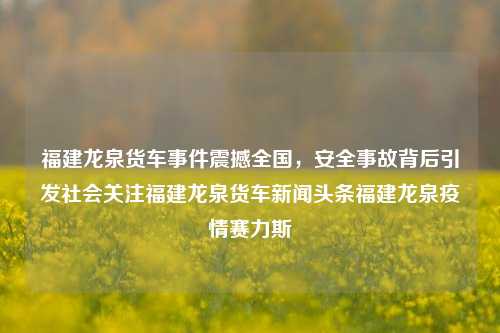 福建龙泉货车事件震撼全国，安全事故背后引发社会关注福建龙泉货车新闻头条福建龙泉疫情赛力斯-第1张图片-福建新闻网