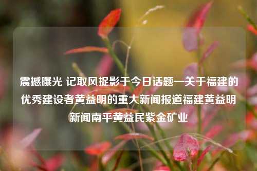 震撼曝光 记取风捉影于今日话题—关于福建的优秀建设者黄益明的重大新闻报道福建黄益明新闻南平黄益民紫金矿业-第1张图片-福建新闻网