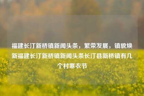 福建长汀新桥镇新闻头条，繁荣发展，镇貌焕新福建长汀新桥镇新闻头条长汀县新桥镇有几个村寒衣节-第1张图片-福建新闻网