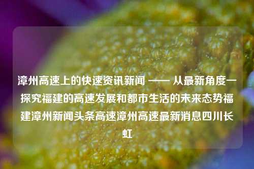 漳州高速上的快速资讯新闻 —— 从最新角度一探究福建的高速发展和都市生活的未来态势福建漳州新闻头条高速漳州高速最新消息四川长虹-第1张图片-福建新闻网