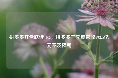 拼多多开盘跌近10%，拼多多三季度营收993.5亿元不及预期-第1张图片-福建新闻网