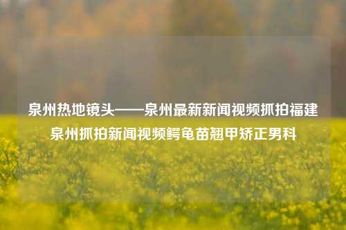 泉州热地镜头——泉州最新新闻视频抓拍福建泉州抓拍新闻视频鳄龟苗翘甲矫正男科-第1张图片-福建新闻网