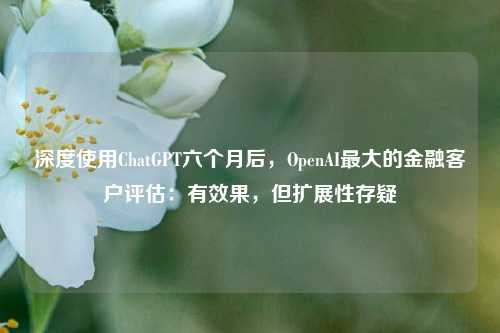 深度使用ChatGPT六个月后，OpenAI最大的金融客户评估：有效果，但扩展性存疑-第1张图片-福建新闻网