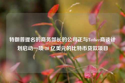 特朗普提名的商务部长的公司正与Tether商谈计划启动一项 20 亿美元的比特币贷款项目-第1张图片-福建新闻网