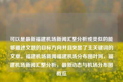 可以是最新福建机场新闻汇整分析或类似的能够描述文题的目标方向并且突显了主关键词的文章。福建机场新闻福建机场分布图叶珂，福建机场新闻汇整分析，最新动态与机场分布图概览，福建机场新闻汇整分析，最新动态与机场分布图概览-第1张图片-福建新闻网