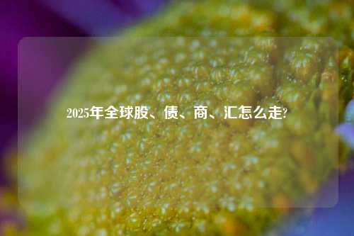 2025年全球股、债、商、汇怎么走?-第1张图片-福建新闻网