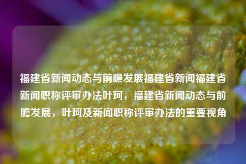 福建省新闻动态与前瞻发展福建省新闻福建省新闻职称评审办法叶珂，福建省新闻动态与前瞻发展，叶珂及新闻职称评审办法的重要视角，福建省新闻动态与叶珂视角下的新闻职称评审办法及前瞻性发展-第1张图片-福建新闻网