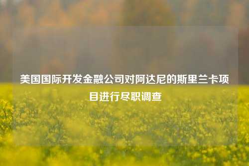 美国国际开发金融公司对阿达尼的斯里兰卡项目进行尽职调查-第1张图片-福建新闻网