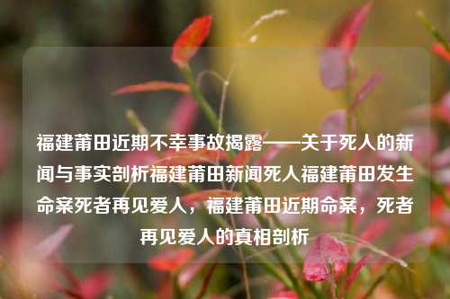 福建莆田近期不幸事故揭露——关于死人的新闻与事实剖析福建莆田新闻死人福建莆田发生命案死者再见爱人，福建莆田近期命案，死者再见爱人的真相剖析，福建莆田近期不幸命案揭露，死者再见爱人的真相剖析-第1张图片-福建新闻网