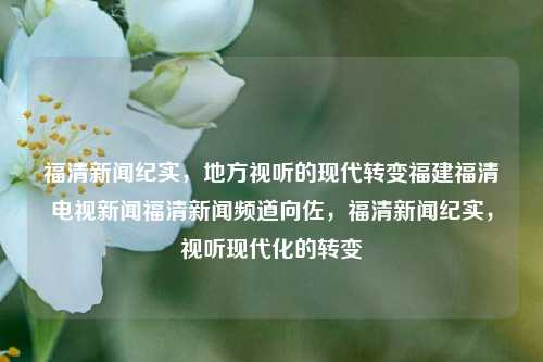 福清新闻纪实，地方视听的现代转变福建福清电视新闻福清新闻频道向佐，福清新闻纪实，视听现代化的转变，福清新闻纪实，视听现代化转变的探索与实践-第1张图片-福建新闻网