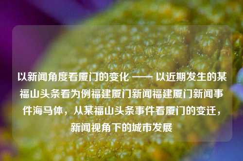 以新闻角度看厦门的变化 —— 以近期发生的某福山头条看为例福建厦门新闻福建厦门新闻事件海马体，从某福山头条事件看厦门的变迁，新闻视角下的城市发展，某福山头条事件背后的厦门变迁，新闻视角下的城市发展透视-第1张图片-福建新闻网