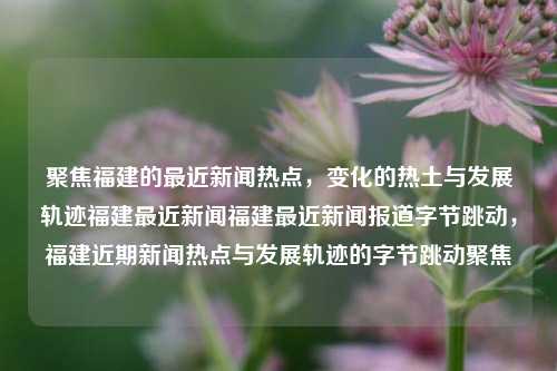 聚焦福建的最近新闻热点，变化的热土与发展轨迹福建最近新闻福建最近新闻报道字节跳动，福建近期新闻热点与发展轨迹的字节跳动聚焦，福建近期新闻热点，字节跳动在福建的发展轨迹与变化热土-第1张图片-福建新闻网