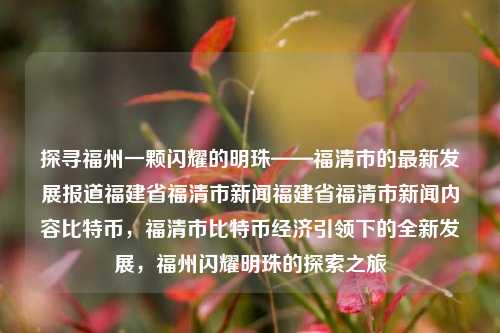 探寻福州一颗闪耀的明珠——福清市的最新发展报道福建省福清市新闻福建省福清市新闻内容比特币，福清市比特币经济引领下的全新发展，福州闪耀明珠的探索之旅，福清市比特币经济引领下的全新发展，探寻福州的闪耀明珠-第1张图片-福建新闻网