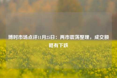 博时市场点评11月25日：两市震荡整理，成交额略有下跌-第1张图片-福建新闻网