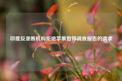 印度反垄断机构拒绝苹果暂停调查报告的请求-第1张图片-福建新闻网