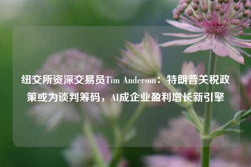 纽交所资深交易员Tim Anderson：特朗普关税政策或为谈判筹码，AI成企业盈利增长新引擎-第1张图片-福建新闻网