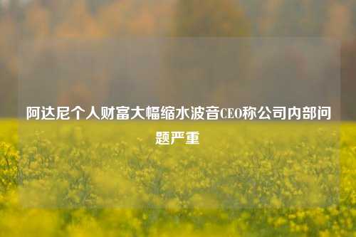 阿达尼个人财富大幅缩水波音CEO称公司内部问题严重-第1张图片-福建新闻网