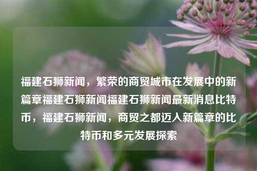 福建石狮新闻，繁荣的商贸城市在发展中的新篇章福建石狮新闻福建石狮新闻最新消息比特币，福建石狮新闻，商贸之都迈入新篇章的比特币和多元发展探索，福建石狮新闻，商贸之都的多元发展与比特币新篇章探索-第1张图片-福建新闻网