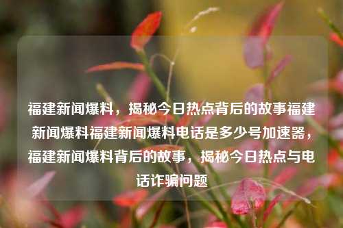 福建新闻爆料，揭秘今日热点背后的故事福建新闻爆料福建新闻爆料电话是多少号加速器，福建新闻爆料背后的故事，揭秘今日热点与电话诈骗问题-第1张图片-福建新闻网