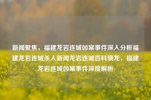 新闻聚焦，福建龙岩连城凶案事件深入分析福建龙岩连城杀人新闻龙岩连城百科骁龙，福建龙岩连城凶案事件深度解析，福建龙岩连城凶案事件深度解析-第1张图片-福建新闻网