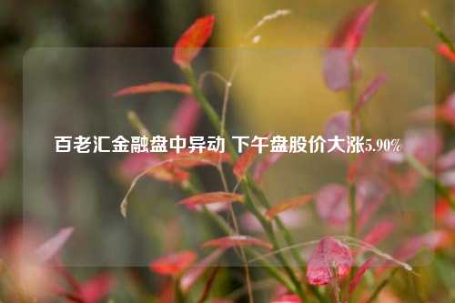 百老汇金融盘中异动 下午盘股价大涨5.90%-第1张图片-福建新闻网