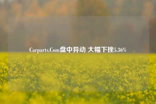 Carparts.Com盘中异动 大幅下挫5.36%-第1张图片-福建新闻网