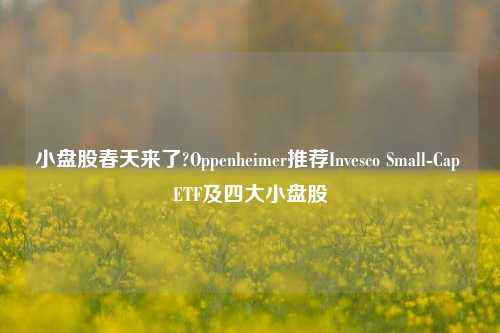 小盘股春天来了?Oppenheimer推荐Invesco Small-Cap ETF及四大小盘股-第1张图片-福建新闻网