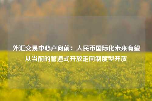 外汇交易中心卢向前：人民币国际化未来有望从当前的管道式开放走向制度型开放-第1张图片-福建新闻网