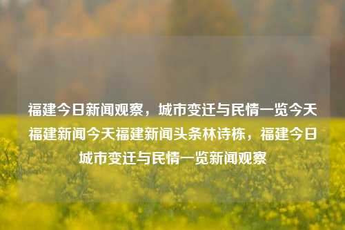 福建今日新闻观察，城市变迁与民情一览今天福建新闻今天福建新闻头条林诗栋，福建今日城市变迁与民情一览新闻观察，福建今日新闻焦点，城市变迁与民情全景观察-第1张图片-福建新闻网