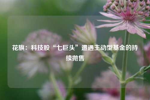 花旗：科技股“七巨头”遭遇主动型基金的持续抛售-第1张图片-福建新闻网