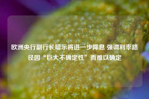 欧洲央行副行长暗示将进一步降息 强调利率路径因“巨大不确定性”而难以确定-第1张图片-福建新闻网