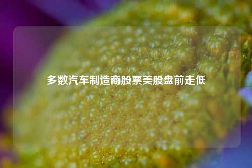 多数汽车制造商股票美股盘前走低-第1张图片-福建新闻网