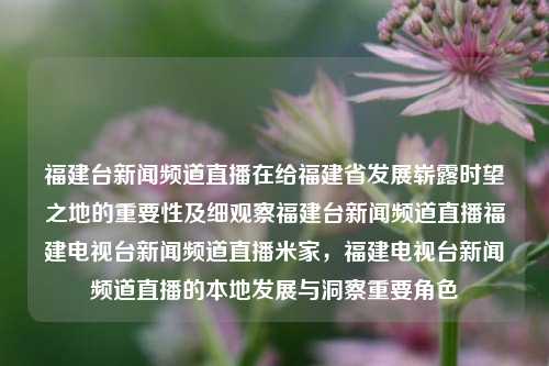 福建台新闻频道直播在给福建省发展崭露时望之地的重要性及细观察福建台新闻频道直播福建电视台新闻频道直播米家，福建电视台新闻频道直播的本地发展与洞察重要角色，福建台新闻频道直播，观察地方发展与未来之光的必备利器-第1张图片-福建新闻网