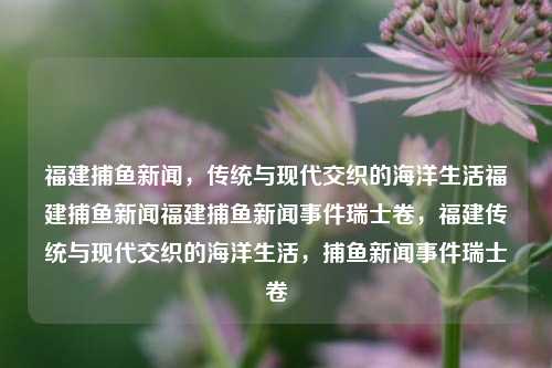 福建捕鱼新闻，传统与现代交织的海洋生活福建捕鱼新闻福建捕鱼新闻事件瑞士卷，福建传统与现代交织的海洋生活，捕鱼新闻事件瑞士卷，福建捕鱼新闻，传统与现代交织的海洋生活-第1张图片-福建新闻网