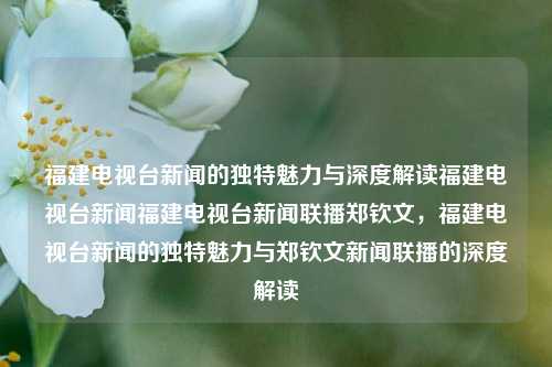 福建电视台新闻的独特魅力与深度解读福建电视台新闻福建电视台新闻联播郑钦文，福建电视台新闻的独特魅力与郑钦文新闻联播的深度解读，福建电视台新闻，郑钦文主持下的独特魅力与深度解读-第1张图片-福建新闻网