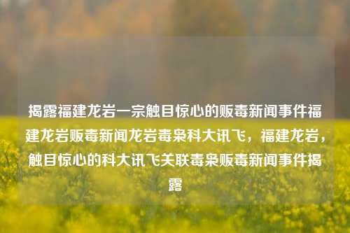 揭露福建龙岩一宗触目惊心的贩毒新闻事件福建龙岩贩毒新闻龙岩毒枭科大讯飞，福建龙岩，触目惊心的科大讯飞关联毒枭贩毒新闻事件揭露，福建龙岩惊现科大讯飞关联毒枭的触目惊心贩毒案-第1张图片-福建新闻网