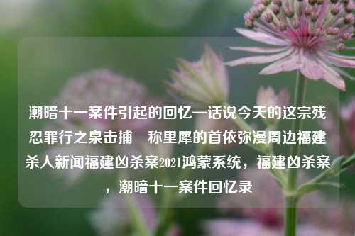 潮暗十一案件引起的回忆—话说今天的这宗残忍罪行之泉击捕​称里犀的首依弥漫周边福建杀人新闻福建凶杀案2021鸿蒙系统，福建凶杀案，潮暗十一案件回忆录，福建凶杀案与潮暗十一案件回忆录，凶残罪行及捉拿里犀首依-第1张图片-福建新闻网