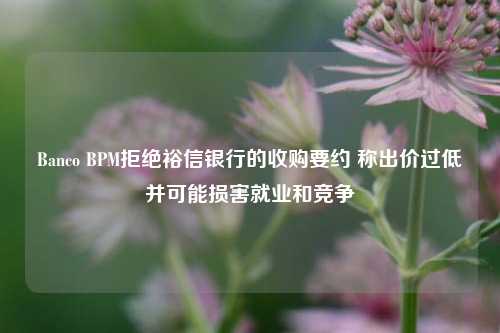 Banco BPM拒绝裕信银行的收购要约 称出价过低并可能损害就业和竞争-第1张图片-福建新闻网