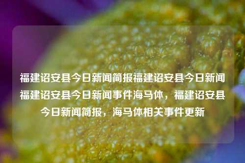 福建诏安县今日新闻简报福建诏安县今日新闻福建诏安县今日新闻事件海马体，福建诏安县今日新闻简报，海马体相关事件更新，好的，标题构思如，福建诏安县海马体相关新闻事件简报。-第1张图片-福建新闻网