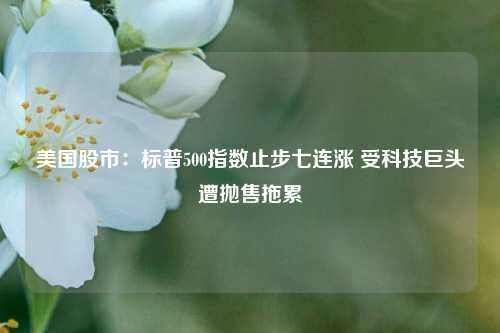 美国股市：标普500指数止步七连涨 受科技巨头遭抛售拖累-第1张图片-福建新闻网