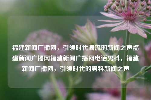 福建新闻广播网，引领时代潮流的新闻之声福建新闻广播网福建新闻广播网电话男科，福建新闻广播网，引领时代的男科新闻之声，福建新闻广播网，引领时代的男科新闻之声与潮流新闻之声交汇的媒体平台-第1张图片-福建新闻网