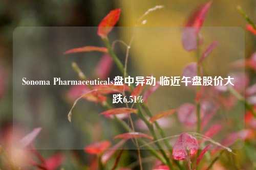 Sonoma Pharmaceuticals盘中异动 临近午盘股价大跌6.51%-第1张图片-福建新闻网