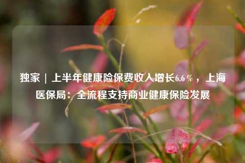 独家 | 上半年健康险保费收入增长6.6％，上海医保局：全流程支持商业健康保险发展-第1张图片-福建新闻网