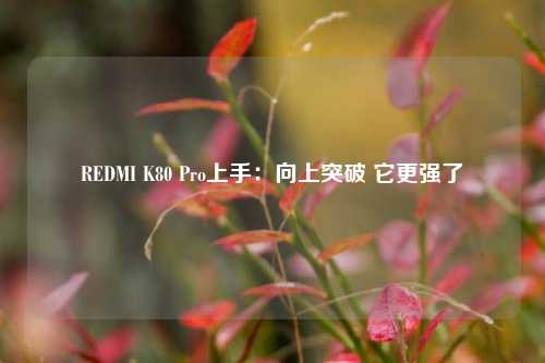 REDMI K80 Pro上手：向上突破 它更强了-第1张图片-福建新闻网