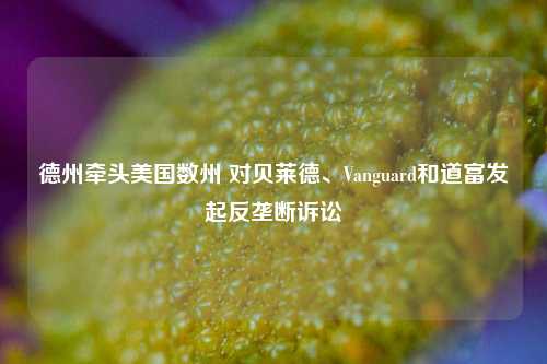 德州牵头美国数州 对贝莱德、Vanguard和道富发起反垄断诉讼-第1张图片-福建新闻网