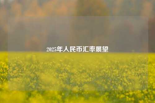 2025年人民币汇率展望-第1张图片-福建新闻网