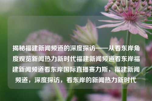 揭秘福建新闻频道的深度探访——从看东岸角度观览新闻热力新时代福建新闻频道看东岸福建新闻频道看东岸国际直播赛力斯，福建新闻频道，深度探访，看东岸的新闻热力新时代，福建新闻频道，深度探访东岸新闻热力新时代的揭秘之旅-第1张图片-福建新闻网