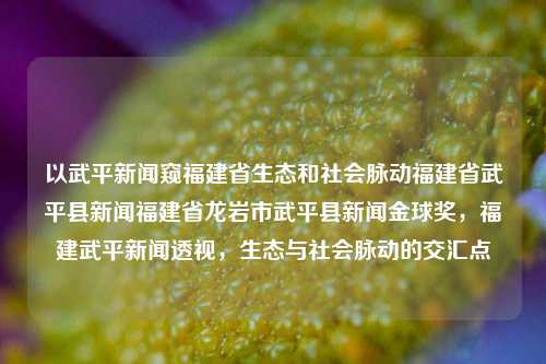 以武平新闻窥福建省生态和社会脉动福建省武平县新闻福建省龙岩市武平县新闻金球奖，福建武平新闻透视，生态与社会脉动的交汇点，福建武平新闻，生态与社会脉动的交汇点透视-第1张图片-福建新闻网